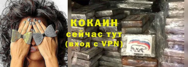 ALPHA PVP Няндома